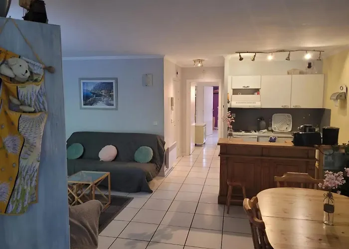 Les Pieds Dans L'eau 公寓 *